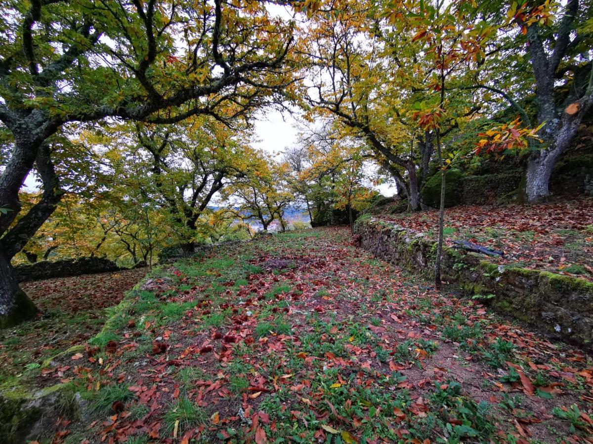 ホテル Casa Do Castelo Sernancelhe エクステリア 写真